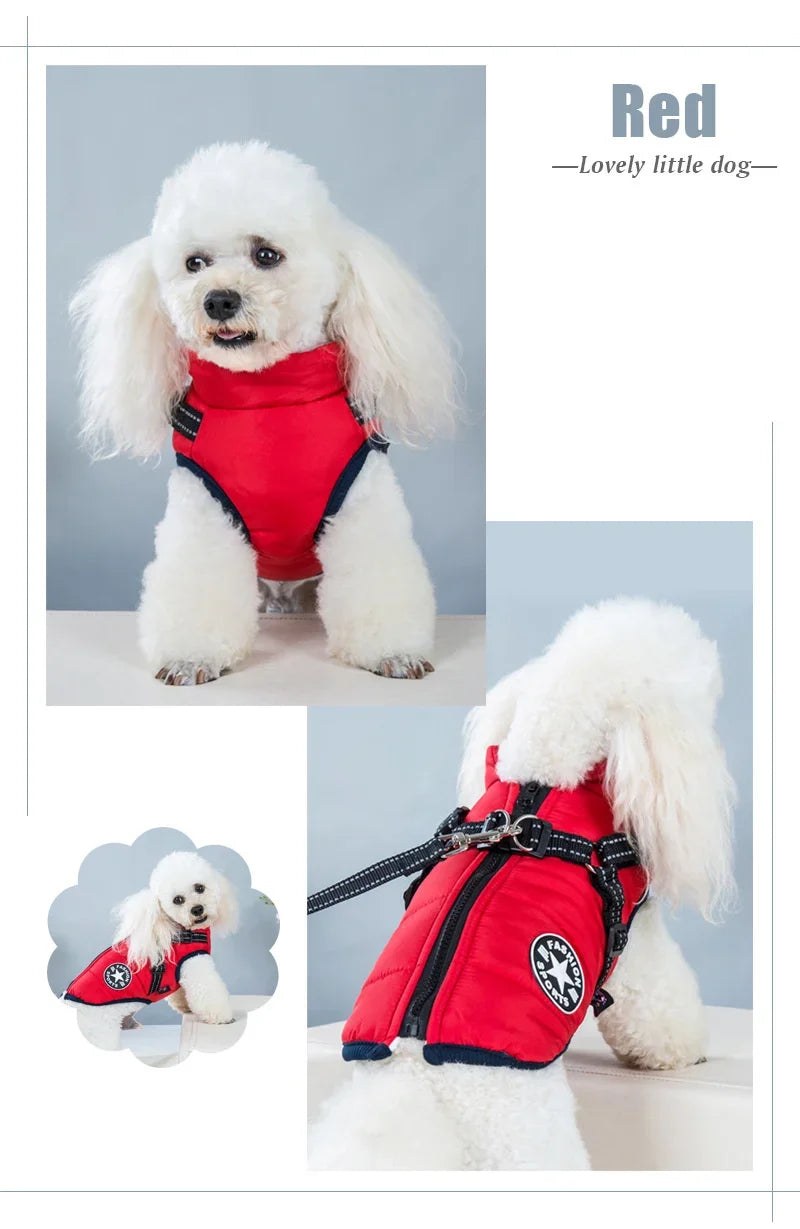 Waterproof Winter Dog Jacket – Warm Pet Coat for Small Dogs (Chihuahua, Shih Tzu, Pug)