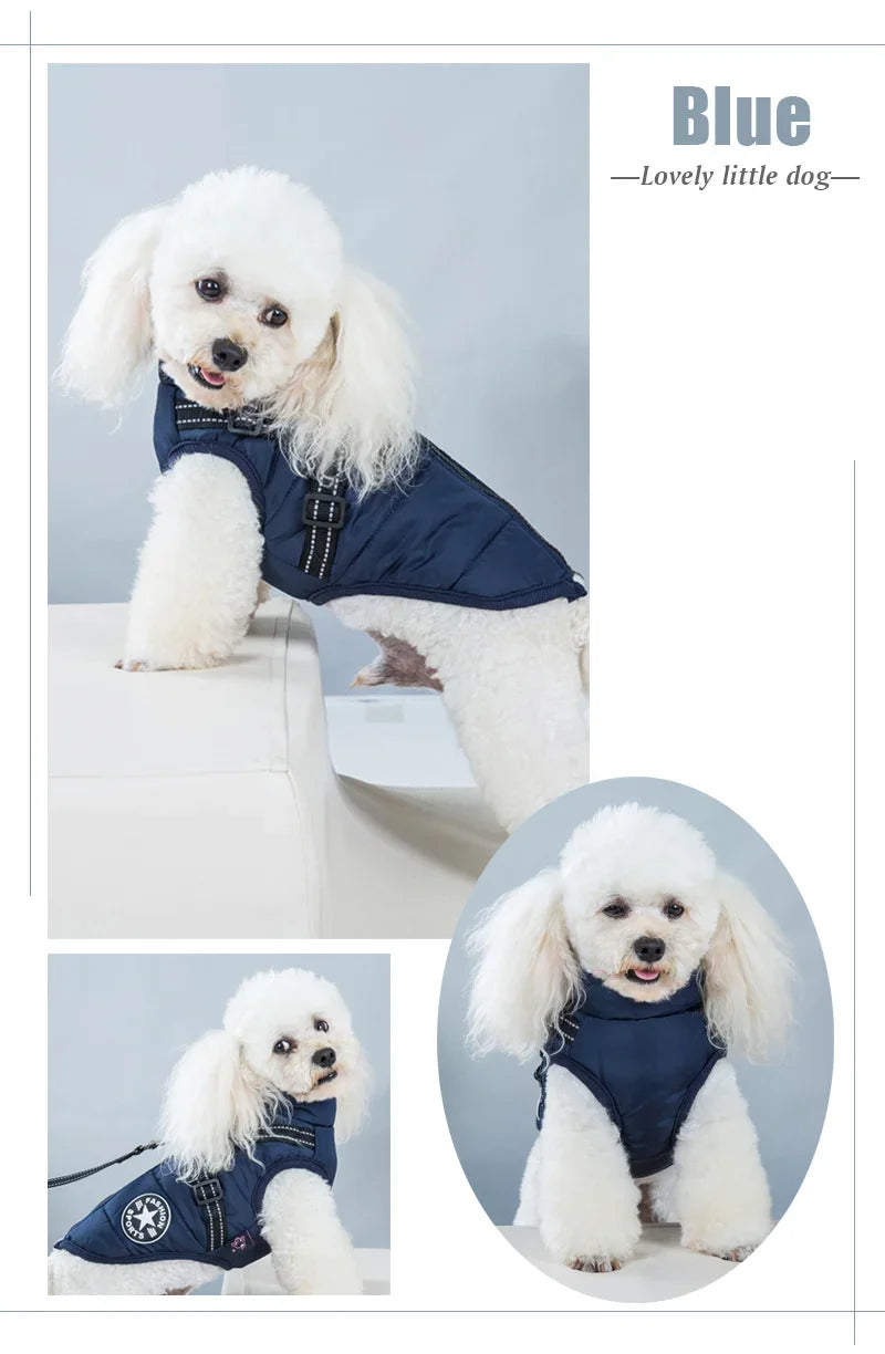 Waterproof Winter Dog Jacket – Warm Pet Coat for Small Dogs (Chihuahua, Shih Tzu, Pug)