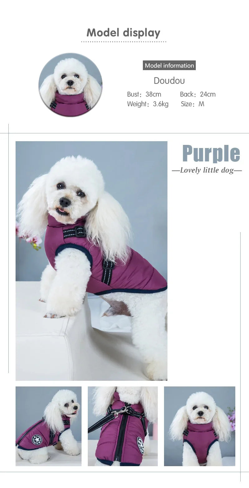 Waterproof Winter Dog Jacket – Warm Pet Coat for Small Dogs (Chihuahua, Shih Tzu, Pug)